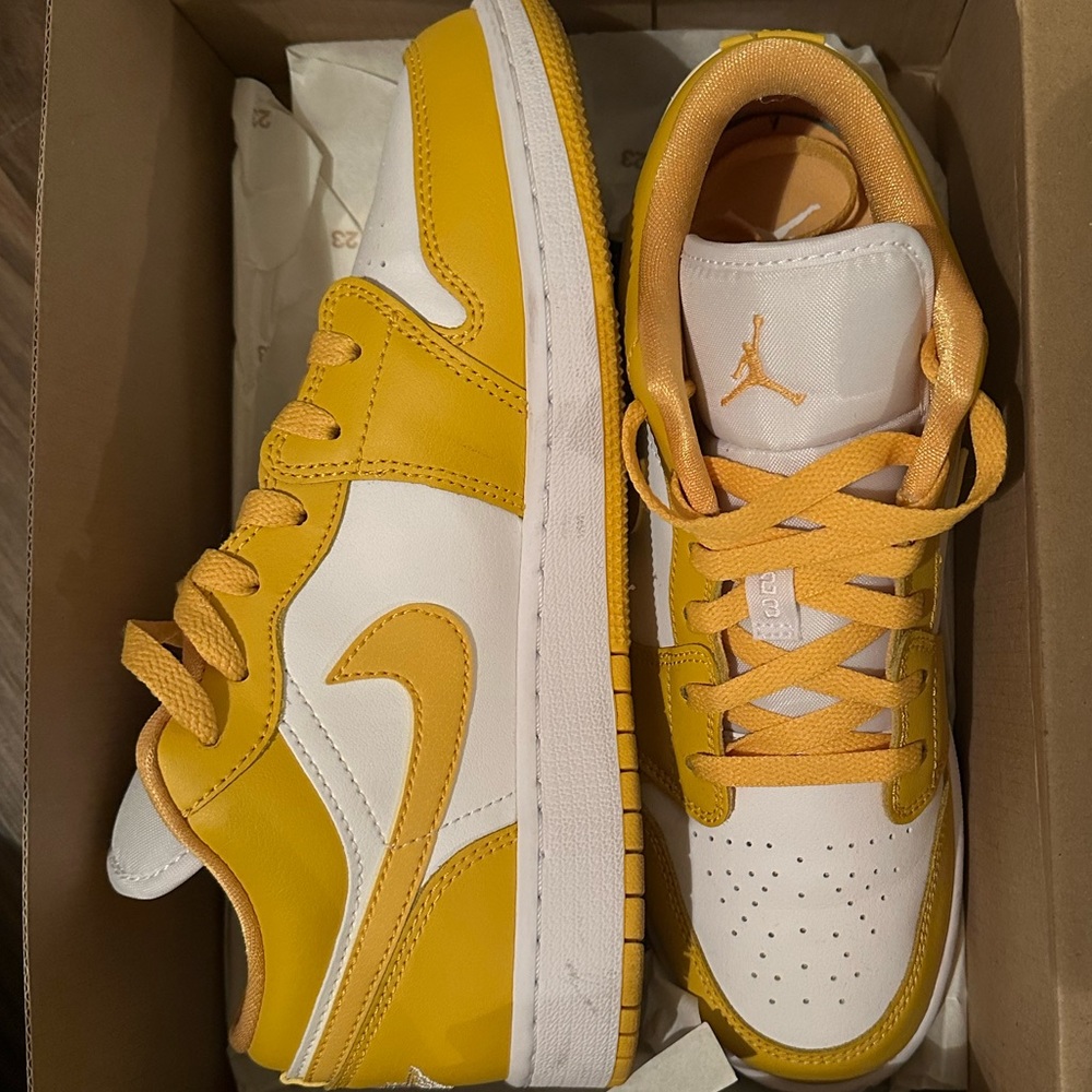 Air Jordan 1 Pollen
